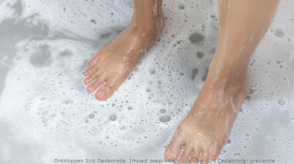 Impact zeepresten op afvoer Sint Oedenrode: preventie