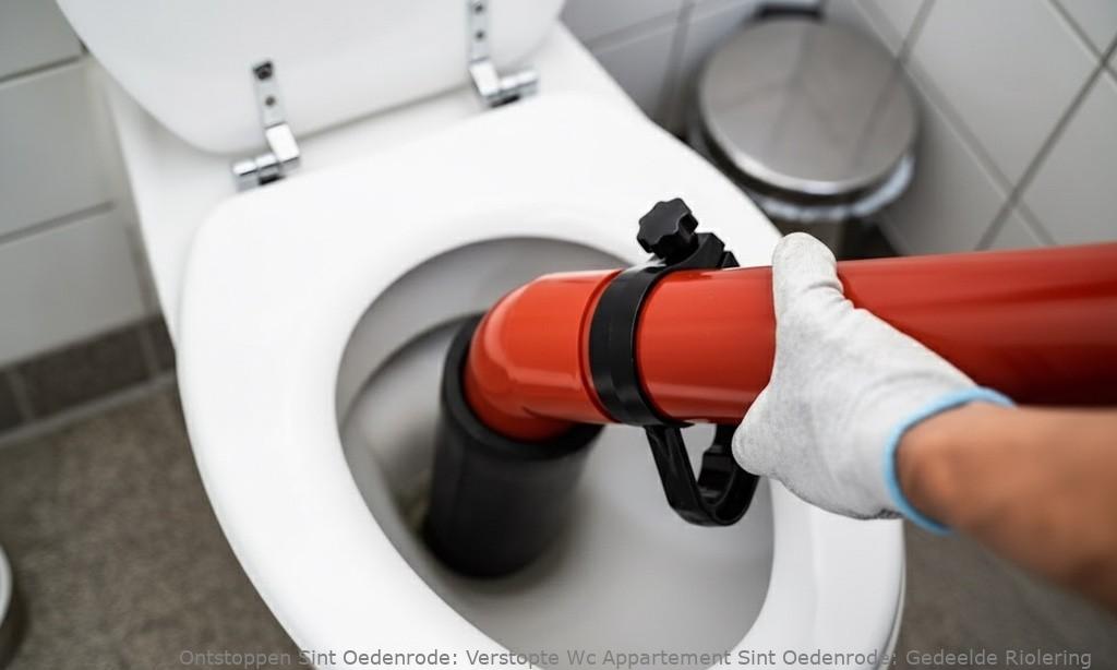 Verstopte Wc Appartement Sint Oedenrode: Gedeelde Riolering