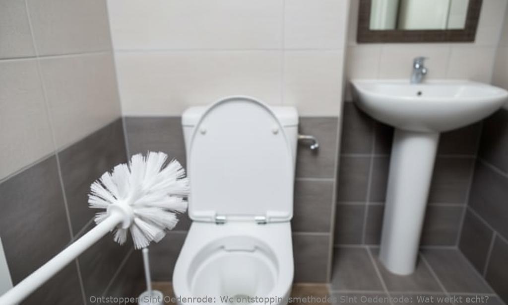 Wc ontstoppingsmethodes Sint Oedenrode: Wat werkt echt?